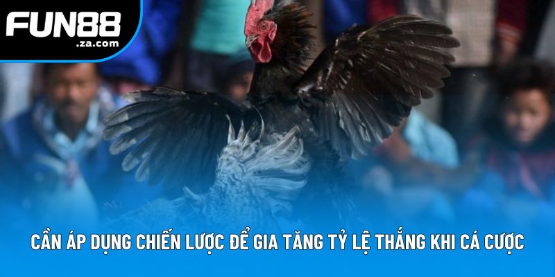 Cần áp dụng chiến lược để gia tăng tỷ lệ thắng khi cá cược
