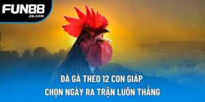 Đá Gà Theo 12 Con Giáp | Chọn Ngày Ra Trận Luôn Thắng